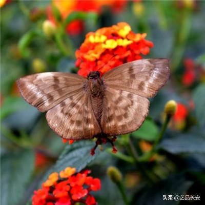 洛神战纪变态版下载