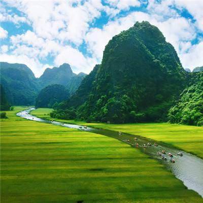 如意乾坤草花官方下载